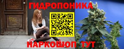 ECSTASY Бийск
