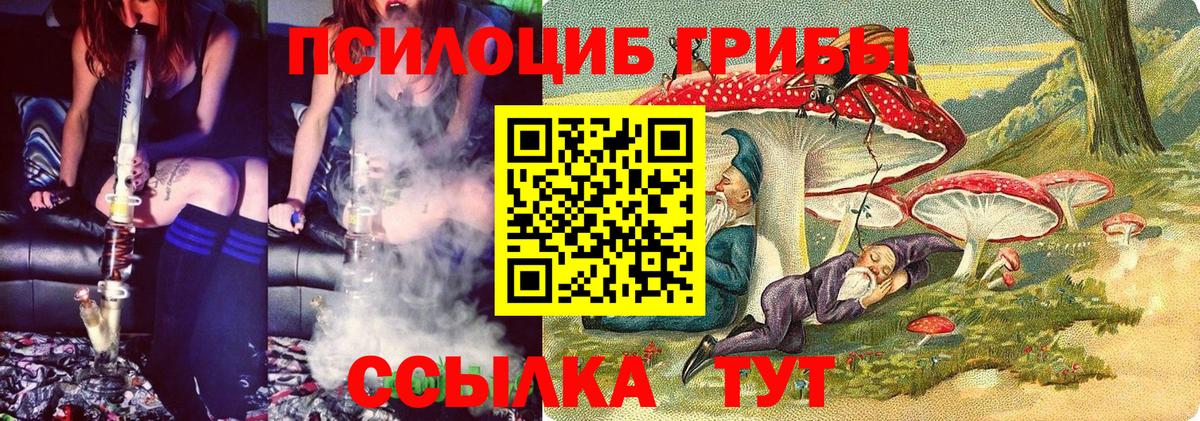 цены   Псилоцибиновые грибы MAGIC MUSHROOMS  Вход с VPN  Гулькевичи 